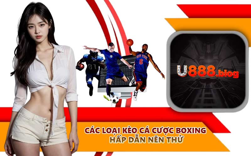 Các loại kèo cá cược boxing hấp dẫn nên thử