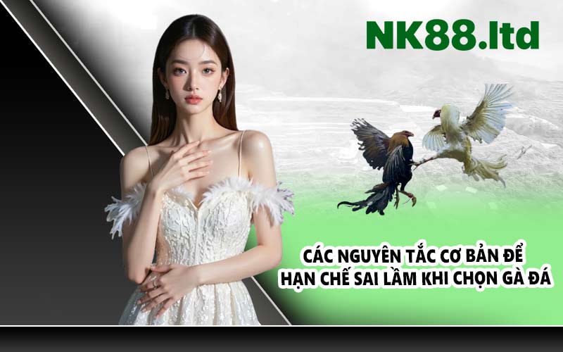 Các nguyên tắc cơ bản để hạn chế sai lầm khi chọn gà đá