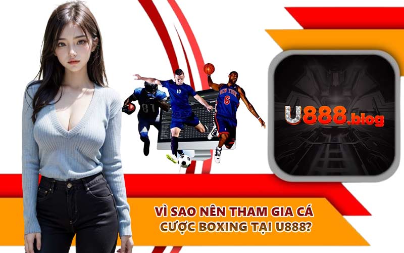 Vì sao nên tham gia cá cược boxing tại U888?